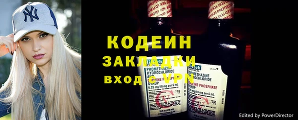 индика Волосово