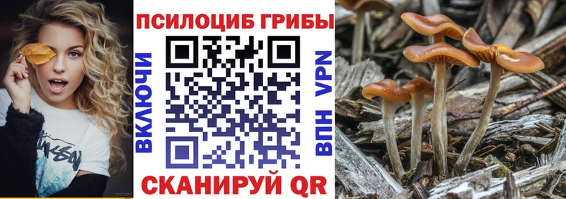 Псилоцибиновые грибы мицелий  Электроугли 